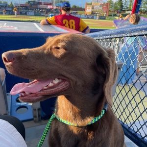 Meet your Posher, Gail